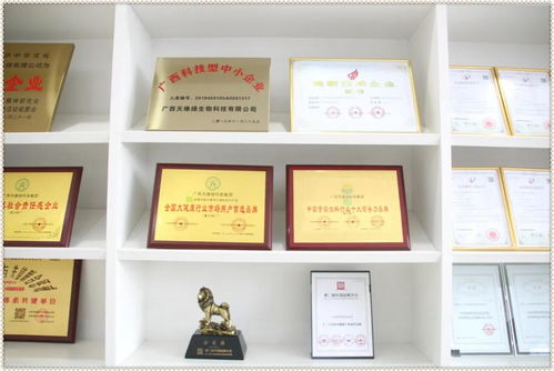 荣誉背后的含金量 一份严格到咂舌的技术牌照与技术咨询