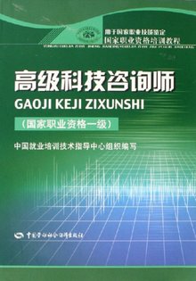 科技咨询师 技术赋能与战略决策的桥梁